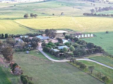 Mixed Farming For Sale - NSW - Cootamundra - 2590 - One Of Cootamundra's Finest Properties  (Image 2)