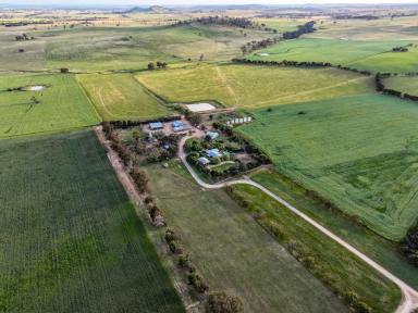 Mixed Farming For Sale - NSW - Cootamundra - 2590 - One Of Cootamundra's Finest Properties  (Image 2)