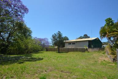 Residential Block For Sale - QLD - Palmwoods - 4555 - RARE AS HENS TEETH  (Image 2)