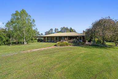 Lifestyle For Sale - VIC - Warrenbayne - 3670 - "Pemberton" - A Private and Productive Lifestyle Offering  (Image 2)