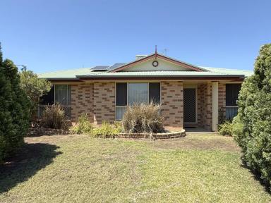 House For Sale - NSW - Moree - 2400 - STEP INSIDE AND BE IMPRESSED!  (Image 2)