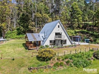 House For Sale - TAS - Sunnyside - 7305 - Private Bushland Sancturay on 5 Acres approx  (Image 2)