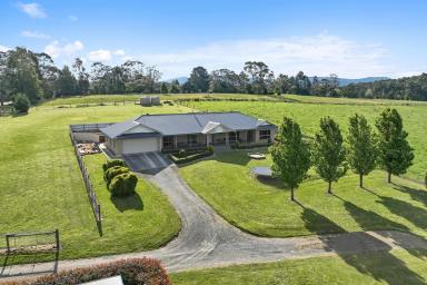 Acreage/Semi-rural Tender - VIC - Neerim South - 3831 - Versatile Holding, Two Houses, 5 Acres, Rural Setting  (Image 2)