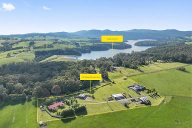 Acreage/Semi-rural Tender - VIC - Neerim South - 3831 - Versatile Holding, Two Houses, 5 Acres, Rural Setting  (Image 2)