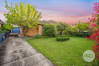 House For Sale - NSW - Albury - 2640 - PREMIER CENTRAL ALBURY LOCATION  (Image 2)