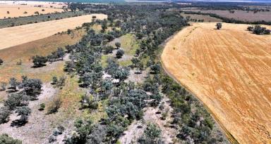 Other (Rural) For Sale - NSW - Moree - 2400 - "Mardell" 19770 Newell Highway Moree  (Image 2)