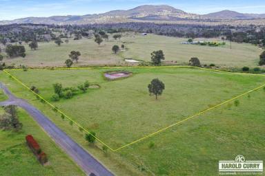 Residential Block For Sale - NSW - Tenterfield - 2372 - 2.8ha Block with DA Approval.....  (Image 2)