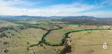 Other (Rural) Sold - NSW - Singleton - 2330 - 500 ACRES PRIME GRAZING LAND | STUNNING CREEK FRONTAGE  (Image 2)