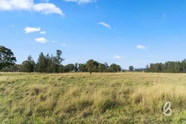 Other (Rural) Auction - NSW - Singleton - 2330 - HIGHLY DESIRABLE 100 ACRE GRAZING BLOCK WITH STUNNING CREEK FRONTAGE  (Image 2)