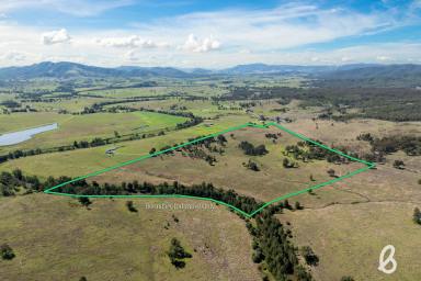 Other (Rural) Auction - NSW - Singleton - 2330 - HIGHLY DESIRABLE 100 ACRE GRAZING BLOCK WITH STUNNING CREEK FRONTAGE  (Image 2)