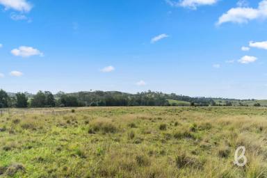 Other (Rural) For Sale - NSW - Singleton - 2330 - HIGHLY DESIRABLE 100 ACRE GRAZING BLOCK WITH STUNNING CREEK FRONTAGE  (Image 2)