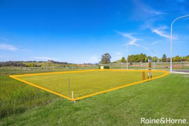 Residential Block For Sale - NSW - Moss Vale - 2577 - Now Registered! Ashbourne 666m2 block!  (Image 2)