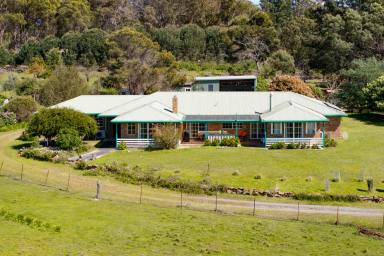 House For Sale - TAS - Clarence Point - 7270 - River Views from Your Own Private Paradise  (Image 2)