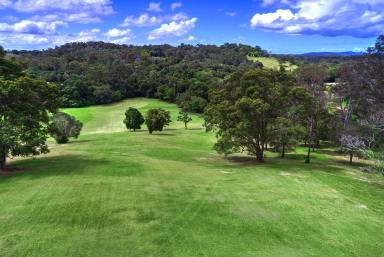 House For Sale - QLD - Black Mountain - 4563 - Luxurious Modern Queenslander on 15.8 Acres in Noosa Hinterland with Dual Living - A Perfect Rural Escape  (Image 2)