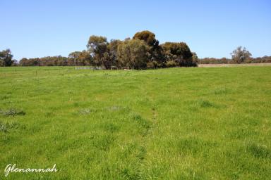 Mixed Farming For Sale - SA - Naracoorte - 5271 - Glenannah & Home Run  (Image 2)