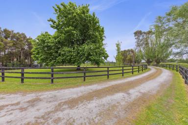 Other (Rural) For Sale - VIC - Caldermeade - 3984 - EXCELLENT LOCATION - EQUINE -MARKET GARDEN - LIFESTYLE.  (Image 2)