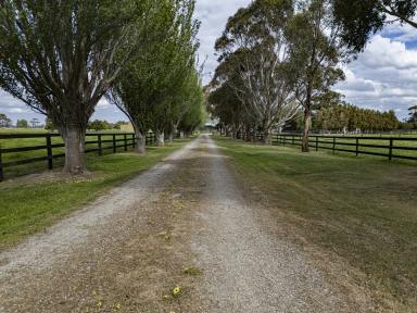 Other (Rural) For Sale - VIC - Caldermeade - 3984 - EXCELLENT LOCATION - EQUINE -MARKET GARDEN - LIFESTYLE.  (Image 2)