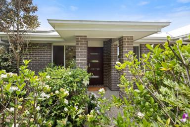 House For Sale - QLD - Cooroy - 4563 - Stylish Family Home With Cooroy Mountain Views  (Image 2)