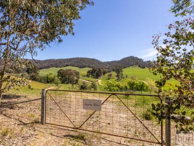 Residential Block For Sale - VIC - Indigo Valley - 3688 - “Grazing/Recreational Block in the popular picturesque Indigo Valley”  (Image 2)