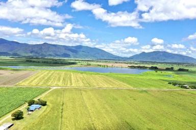 Other (Rural) For Sale - QLD - Giru - 4809 - 139 Acre Hay Farm with House - Sheds - Irrigation  (Image 2)