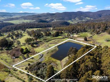 Lifestyle For Sale - TAS - Colebrook - 7027 - Rural Refuge  (Image 2)