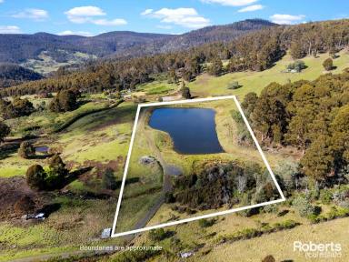 Lifestyle For Sale - TAS - Colebrook - 7027 - Rural Refuge  (Image 2)