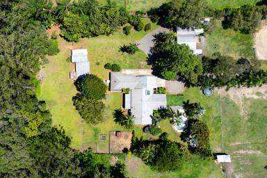 Acreage/Semi-rural For Sale - QLD - Palmwoods - 4555 - A Unique Equestrian Oasis in the Heart of Palmwoods  (Image 2)