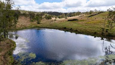 Livestock For Sale - QLD - Anduramba - 4355 - PRODUCTIVE BEEF CATTLE BREEDING OPERATION  (Image 2)