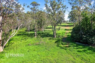 Residential Block For Sale - NSW - Narooma - 2546 - 5 ACRES OF PEACE AND TRANQUILITY  (Image 2)