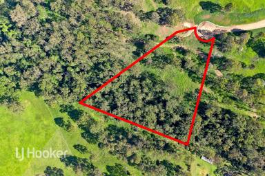 Residential Block For Sale - NSW - Narooma - 2546 - 5 ACRES OF PEACE AND TRANQUILITY  (Image 2)