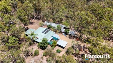 House For Sale - QLD - Delan - 4671 - LARGE BRICK HOME ON 15 ACRES!  (Image 2)