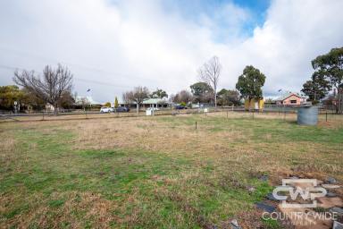 Residential Block For Sale - NSW - Deepwater - 2371 - Building Block  (Image 2)