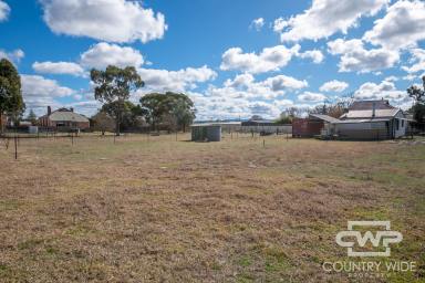 Residential Block For Sale - NSW - Deepwater - 2371 - Building Block  (Image 2)