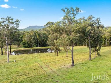 Lifestyle For Sale - NSW - Elrington - 2325 - Arbourvale - Hunter Valley Grazing & Lifestyle - 210 acres  (Image 2)