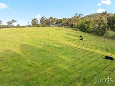 Lifestyle For Sale - NSW - Elrington - 2325 - Arbourvale - Hunter Valley Grazing & Lifestyle - 210 acres  (Image 2)