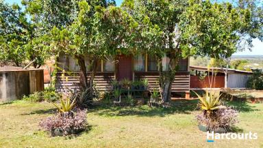 House For Sale - QLD - Childers - 4660 - 24 ACRES - 3 MINTUES TO TOWN - 1 BEDROOM COTTAGE  (Image 2)