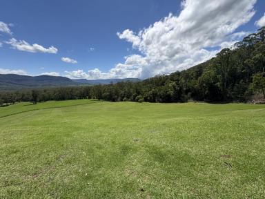 Lifestyle For Sale - NSW - Kangaroo Valley - 2577 - 6 ACRES /Power /Water /Close To Village And The Country Club  (Image 2)