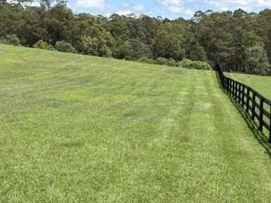Lifestyle For Sale - NSW - Kangaroo Valley - 2577 - 6 ACRES /Power /Water /Close To Village And The Country Club  (Image 2)