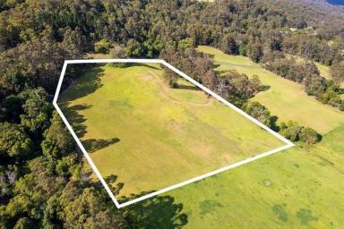 Lifestyle For Sale - NSW - Kangaroo Valley - 2577 - Small Parcel of Land Kangaroo valley (Image 2)