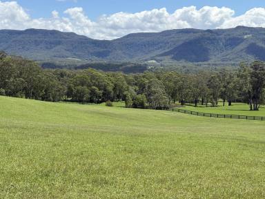 Lifestyle For Sale - NSW - Kangaroo Valley - 2577 - 6 ACRES /Power /Water /Close To Village ENTITLEMENT TO BUILD  (Image 2)