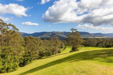 Lifestyle For Sale - NSW - Kangaroo Valley - 2577 - Blank Canvas Small Vacant Lot KANGAROO VALLEY  (Image 2)