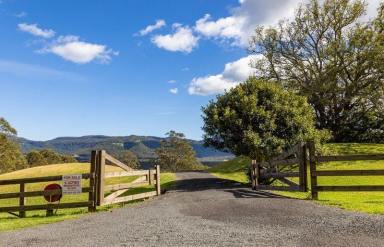 Lifestyle For Sale - NSW - Kangaroo Valley - 2577 - Small Parcel of Land Kangaroo valley  (Image 2)
