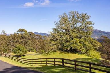 Lifestyle For Sale - NSW - Kangaroo Valley - 2577 - RARE 6 ACRES VACANT LAND FOR SALE KANGAROO VALLEY  (Image 2)