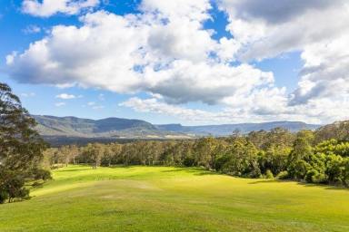 Lifestyle For Sale - NSW - Kangaroo Valley - 2577 - RARE 6 ACRES VACANT LAND FOR SALE KANGAROO VALLEY  (Image 2)