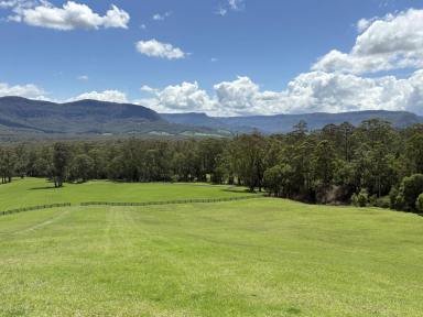 Lifestyle For Sale - NSW - Kangaroo Valley - 2577 - 6 ACRES /Power /Water /Close To Village ENTITLEMENT TO BUILD  (Image 2)
