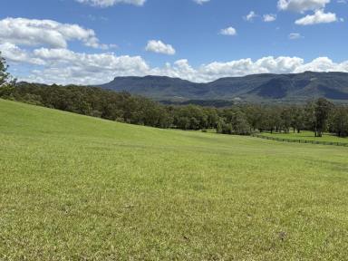 Lifestyle For Sale - NSW - Kangaroo Valley - 2577 - 6 ACRES /Power /Water /Close To Village And The Country Club  (Image 2)