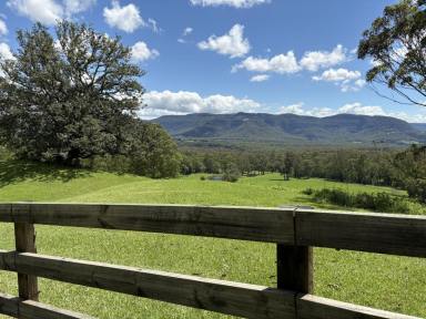 Lifestyle For Sale - NSW - Kangaroo Valley - 2577 - 6 ACRES /Power /Water /Close To Village ENTITLEMENT TO BUILD  (Image 2)