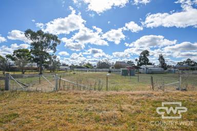 Residential Block For Sale - NSW - Deepwater - 2371 - Building Block  (Image 2)