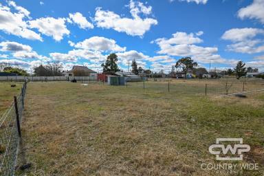 Residential Block For Sale - NSW - Deepwater - 2371 - Building Block  (Image 2)