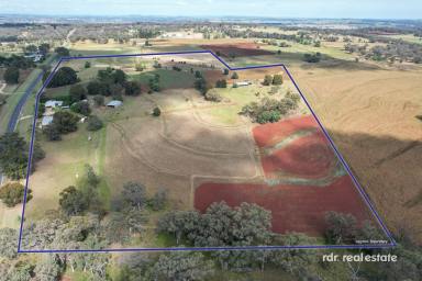 Lifestyle For Sale - NSW - Inverell - 2360 - "TWIN PINES" - COUNTRY LIVING AWAITS  (Image 2)